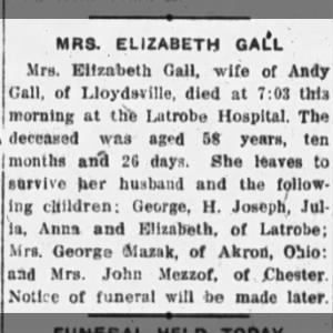 Obituary for ELIZABETH Gall